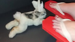 Geisha L red japanese Geta 25 cm high heels crush and trampling Bunny (video short version) Thumb