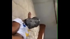 Riding big black ass Thumb