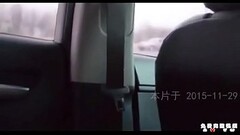 路边车内的少妇 Thumb