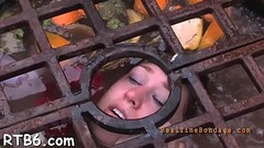 Free hardcore sadomasochism porn Thumb