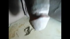 SHAK (5).AVI Thumb
