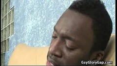 Gay Black Dude Receive Nice Blowjob from White Twink 07 Thumb